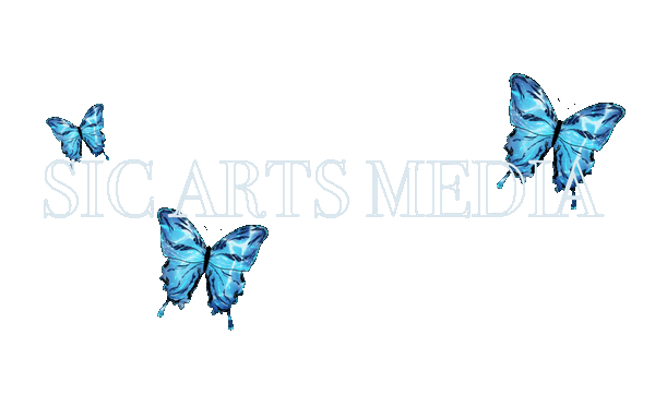 SIC ARTS MEDIA